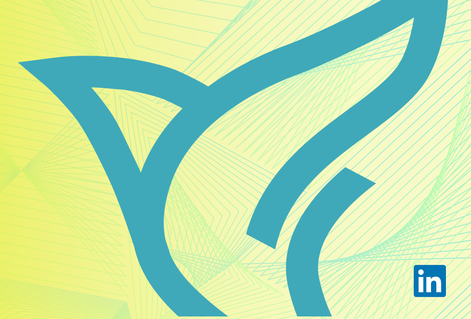 castellare consulting linkedin